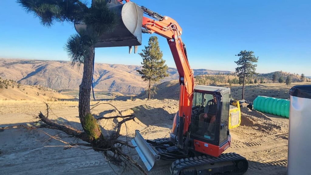 an excavator moving a tree in the desert